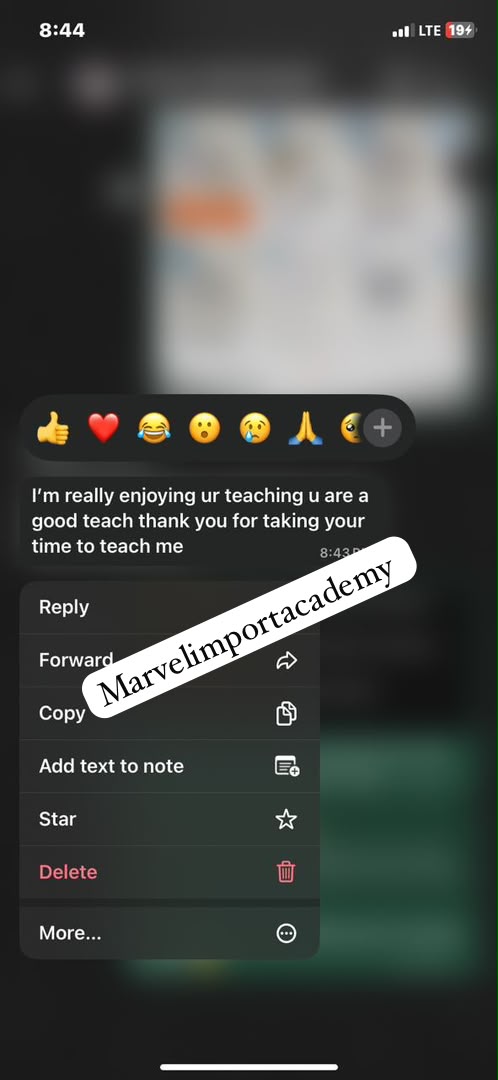 Testimonial screenshot 5